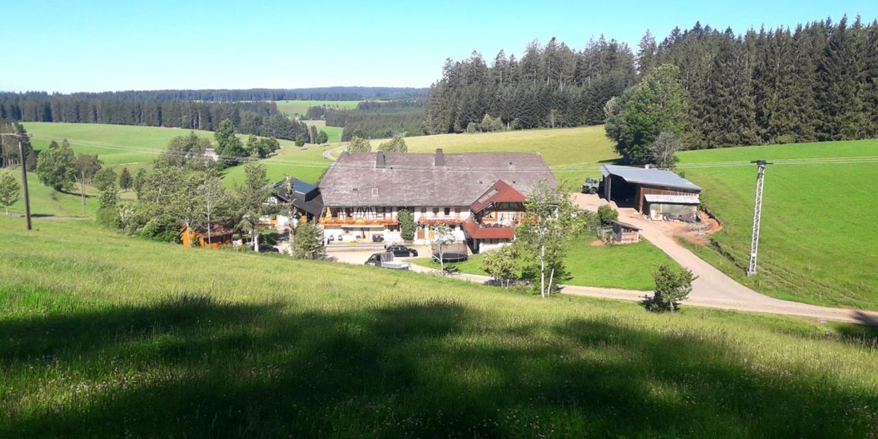 Appartement Willmannshof à Furtwangen im Schwarzwald Extérieur photo