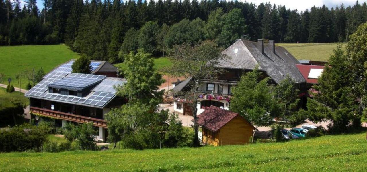 Appartement Willmannshof à Furtwangen im Schwarzwald Extérieur photo