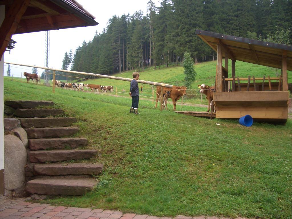 Appartement Willmannshof à Furtwangen im Schwarzwald Extérieur photo