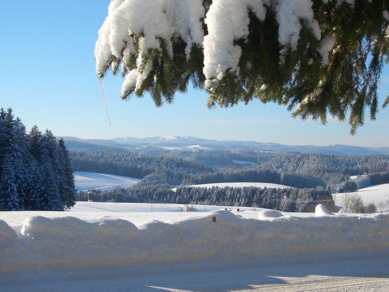 Appartement Willmannshof à Furtwangen im Schwarzwald Extérieur photo