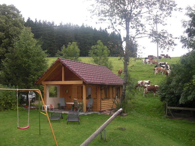 Appartement Willmannshof à Furtwangen im Schwarzwald Extérieur photo