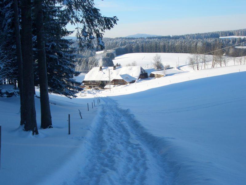 Appartement Willmannshof à Furtwangen im Schwarzwald Extérieur photo